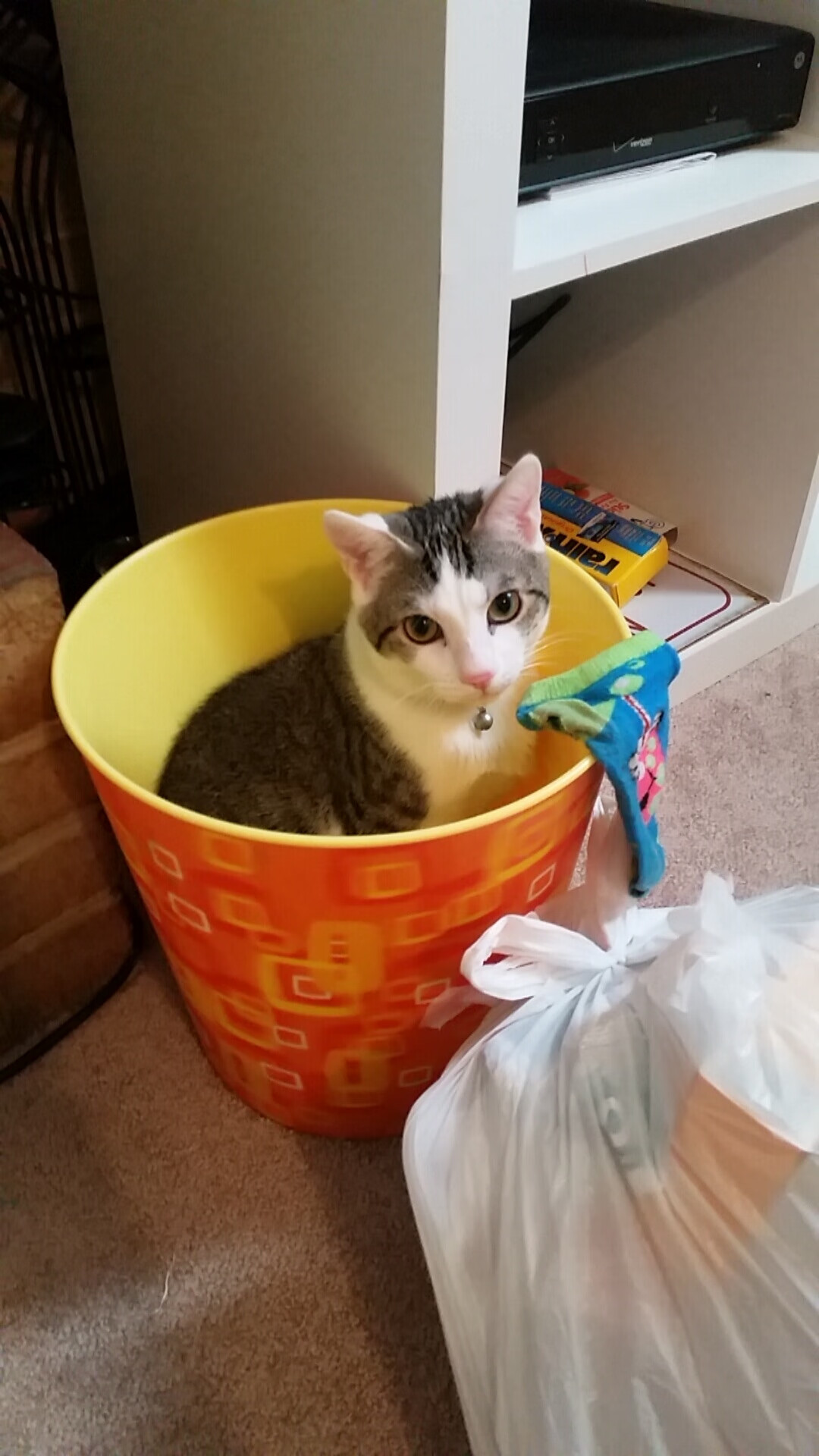 乐鱼电竞在线平台登录入口-国家男篮建立健全反馈机制提升训练质量，为提高男篮大赛成绩,给中国男篮支招,切实可行的建议!