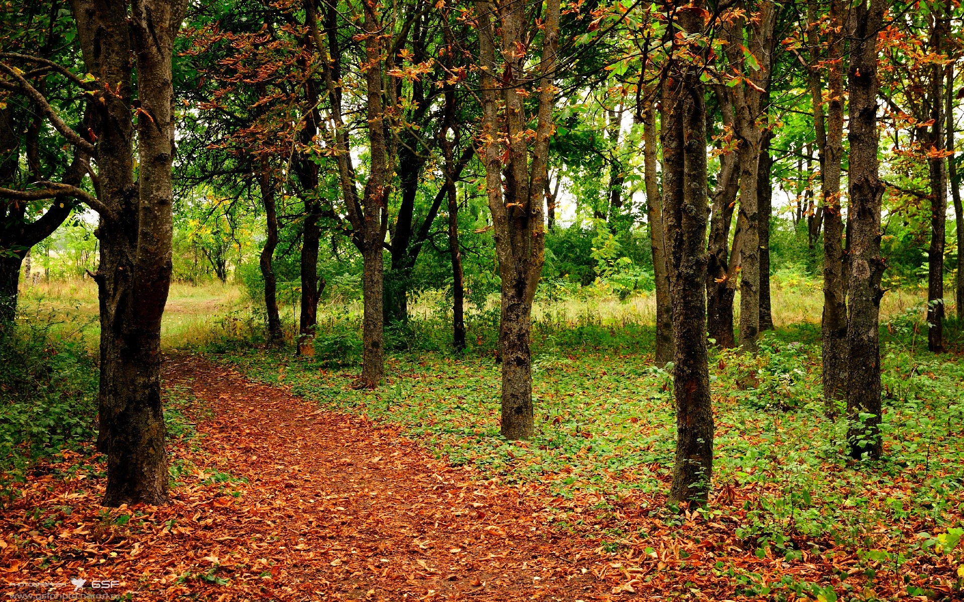 Leyu Sports (乐鱼体育)-国家队比赛风格缺乏鲜明特色，国家队表现