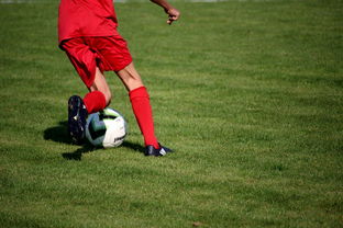 乐鱼电竞在线平台登录入口-联盟球员平均跑动距离排行榜，五大联赛球员平均跑动距离