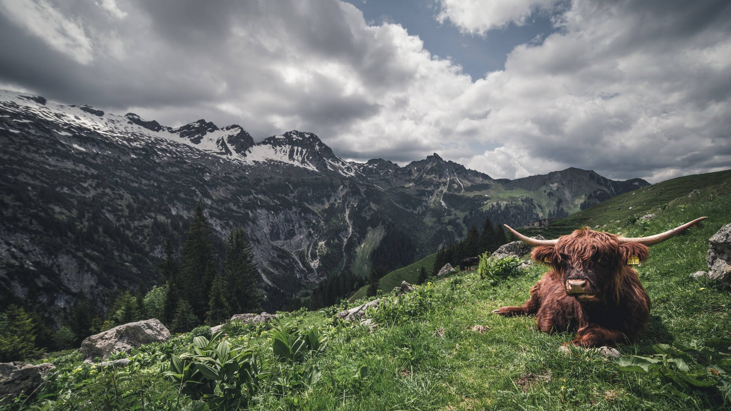 乐鱼娱乐app-足球青训营强化体能与技战术同步培养，足球青训训练计划教案样本