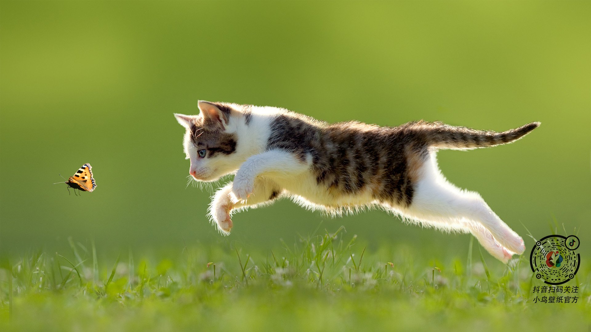 leyu乐鱼官网登录入口-高节奏比赛中球队如何保持攻守转化一致性