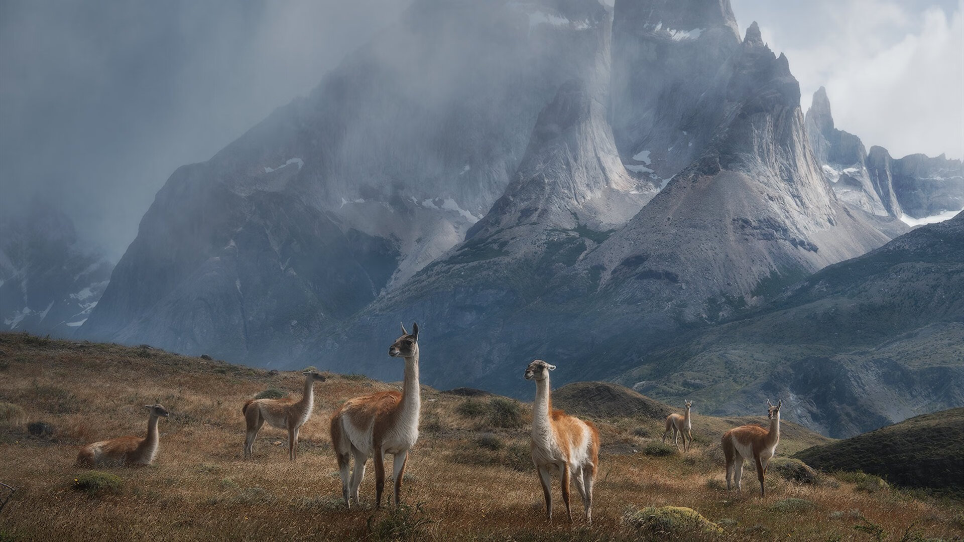LEYU SPORTS中国官方网站-仰泳技术扎实摩纳哥持续领先，仰泳国际比赛视频