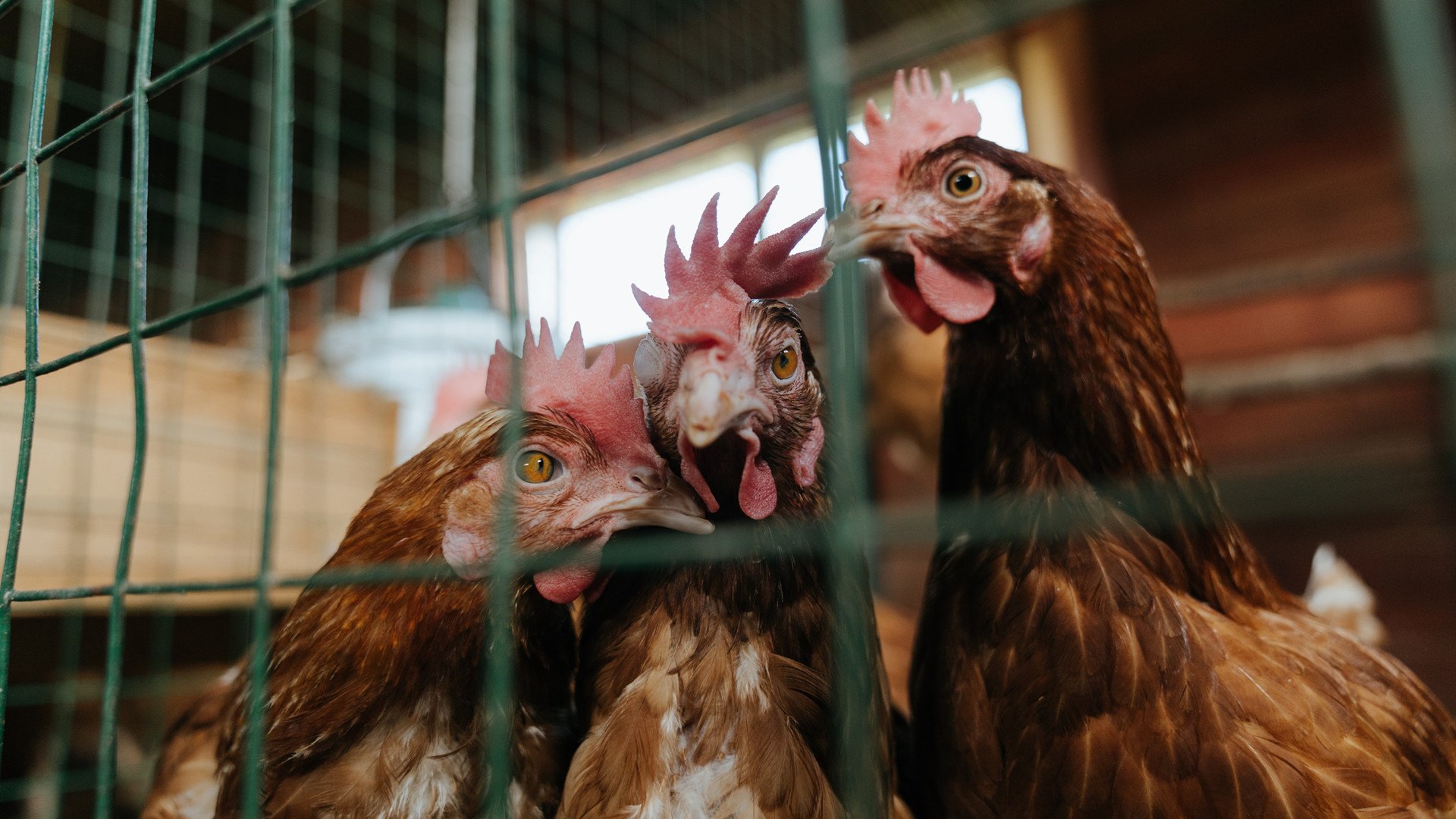 乐鱼体育登录-史密斯50米仰泳爆发力惊艳全场，美国仰泳史密斯