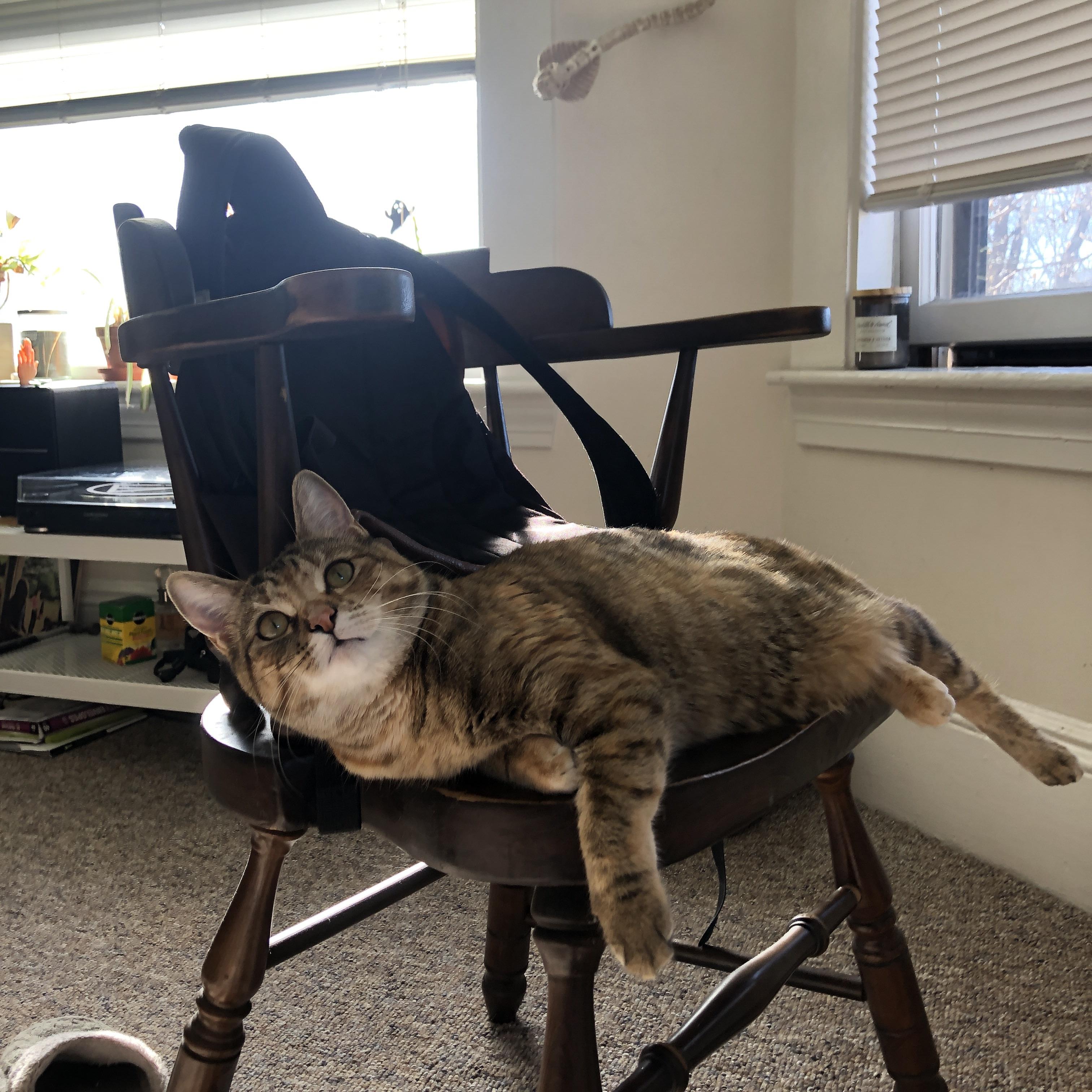 leyu乐鱼体育综合-国家队采用多场景对抗训练提升战术多样性应变力，国家队战斗方式