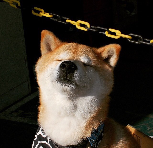 乐鱼体育APP官方下载-多场比赛总进球数高达37球，攻防拉锯激烈，正式比赛进球纪录