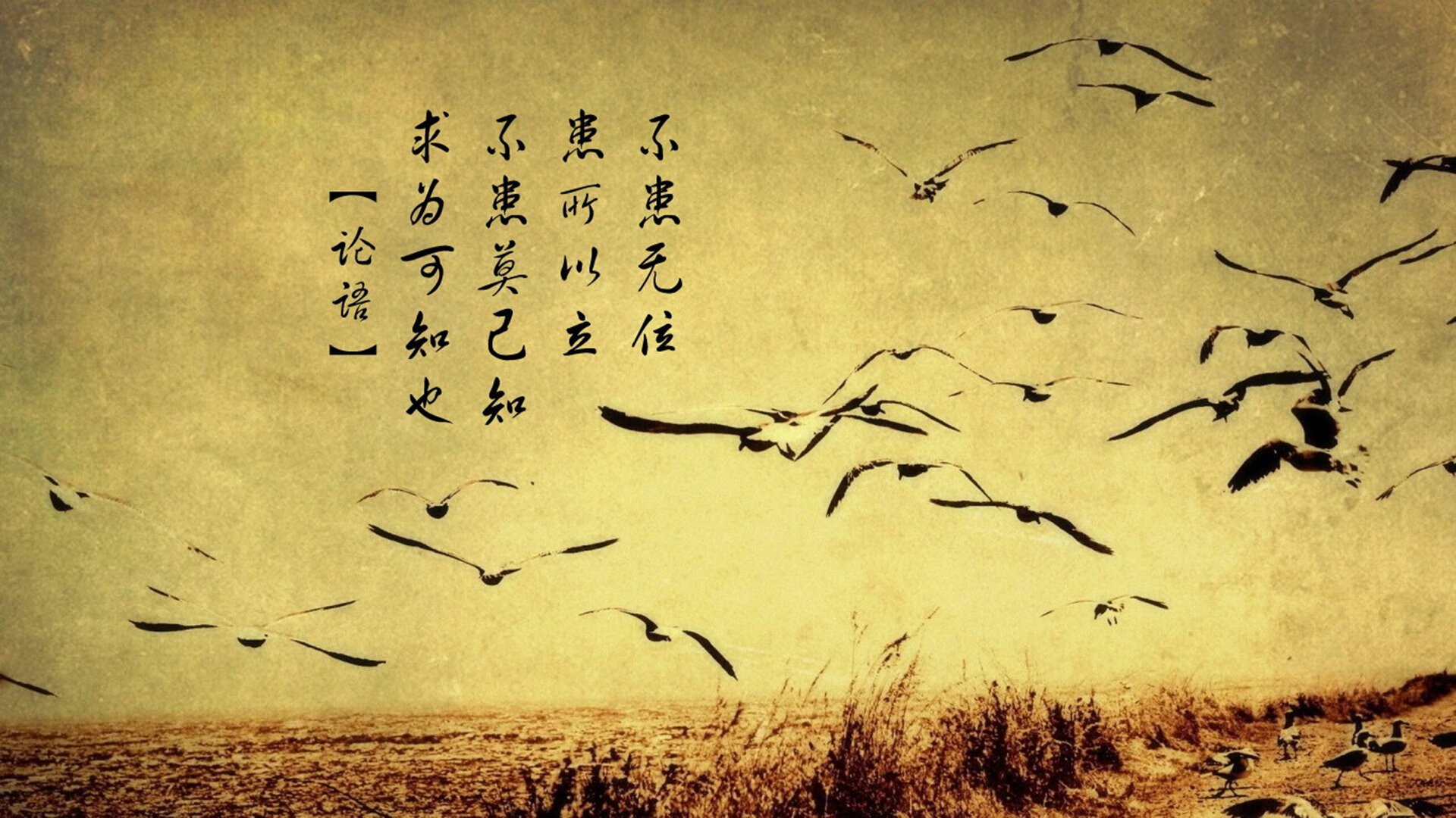 乐鱼（中国）体育官方网站-德甲比赛战况激烈：攻防转变令人屏息，德甲赛制规则