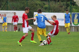 LeyuSports-意甲节奏之王：快速反击碾压对手，意甲开场曲叫什么名