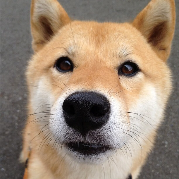 乐鱼电竞在线平台-未来足球比赛将实现全景直播,球迷无需佩戴VR设备也能沉浸其中,vr看足球比赛