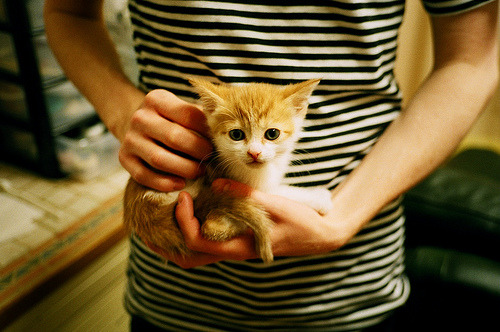 LEYU SPORTS中国官方网站-球队与本地高校合作开设运动管理专业,球类运动管理中心