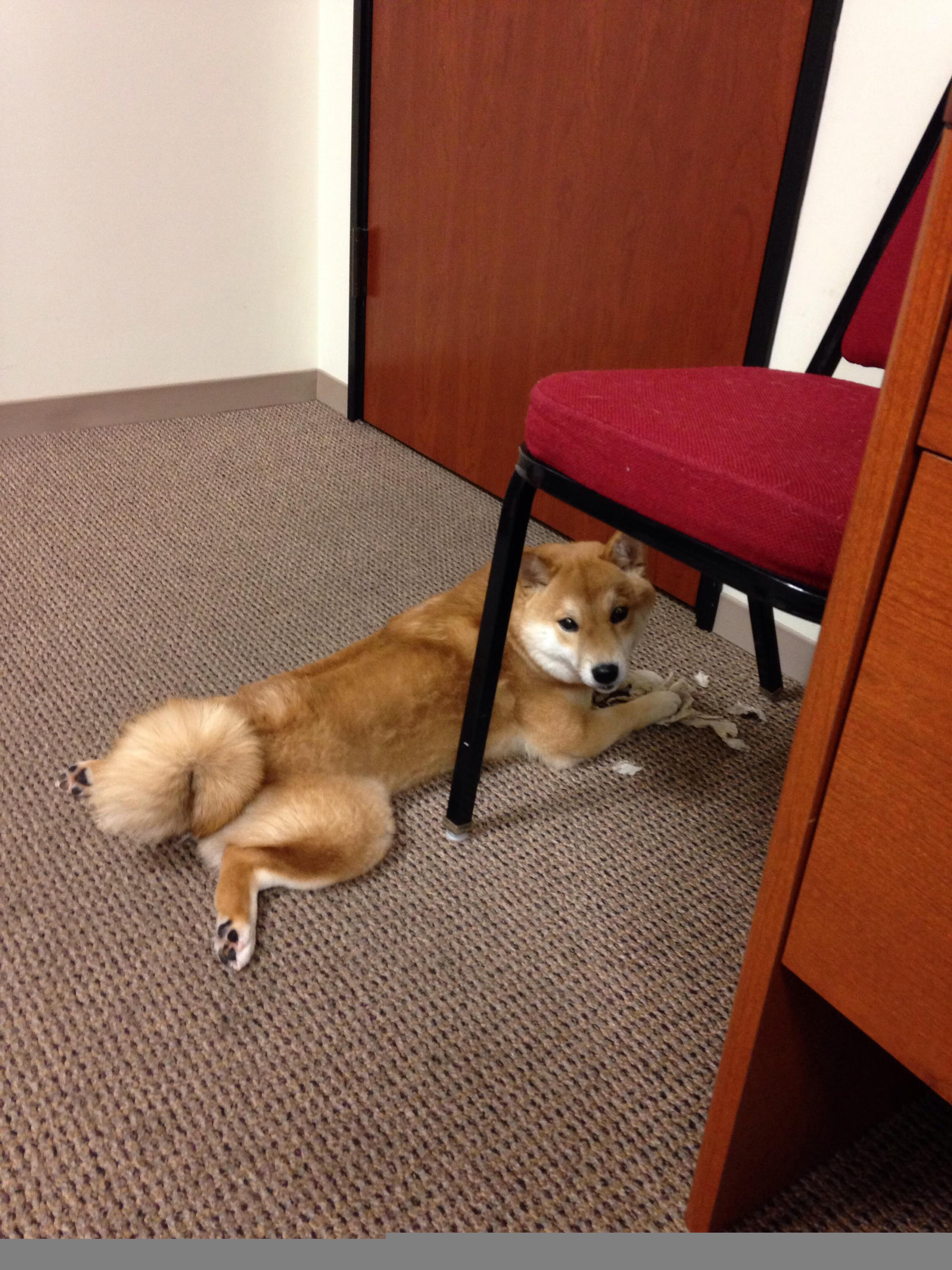 Leyu Sport下载-艾比·德尔福：南非队后场防守的关键人物，成功化解威胁，比尔和艾德