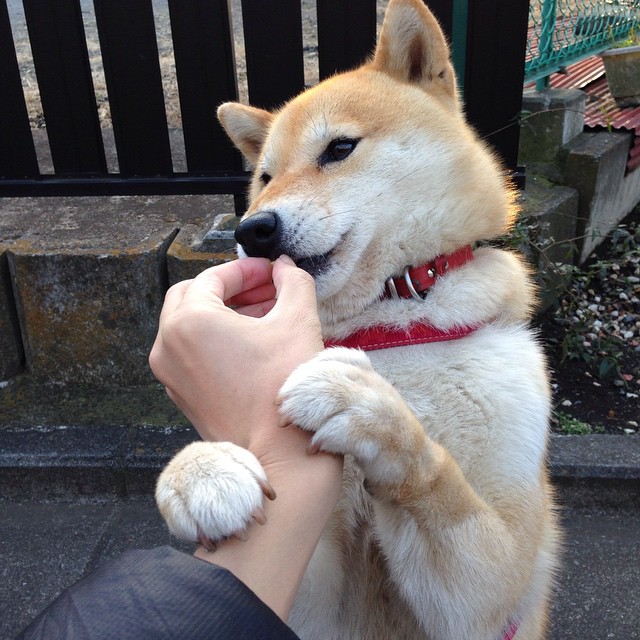 乐鱼(LEYU)体育-英超豪门的新媒体球迷互动平台,英超豪门的新媒体球迷互动平台有哪些