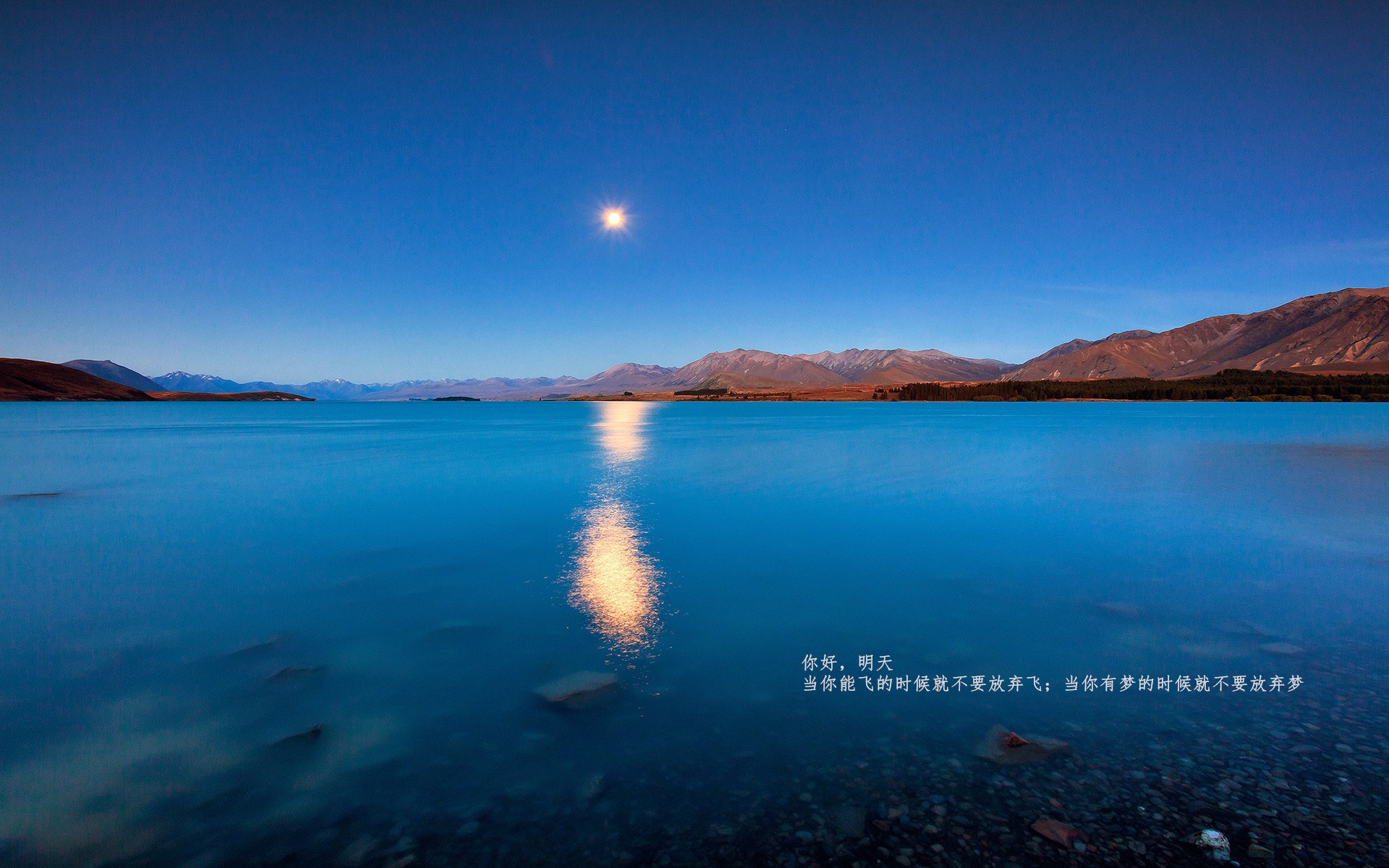 下载乐鱼体育APP-专家解析登贝莱8年迟来辉煌的背后原因，登贝莱资料