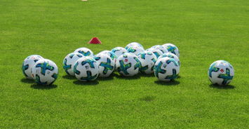 状态对比强烈，多特志在胜利